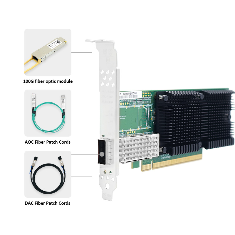 LR-LINK 1019PF-QSFP28 PCIe x16 - 100Gbe Qsfp28 Network Card avis et prix